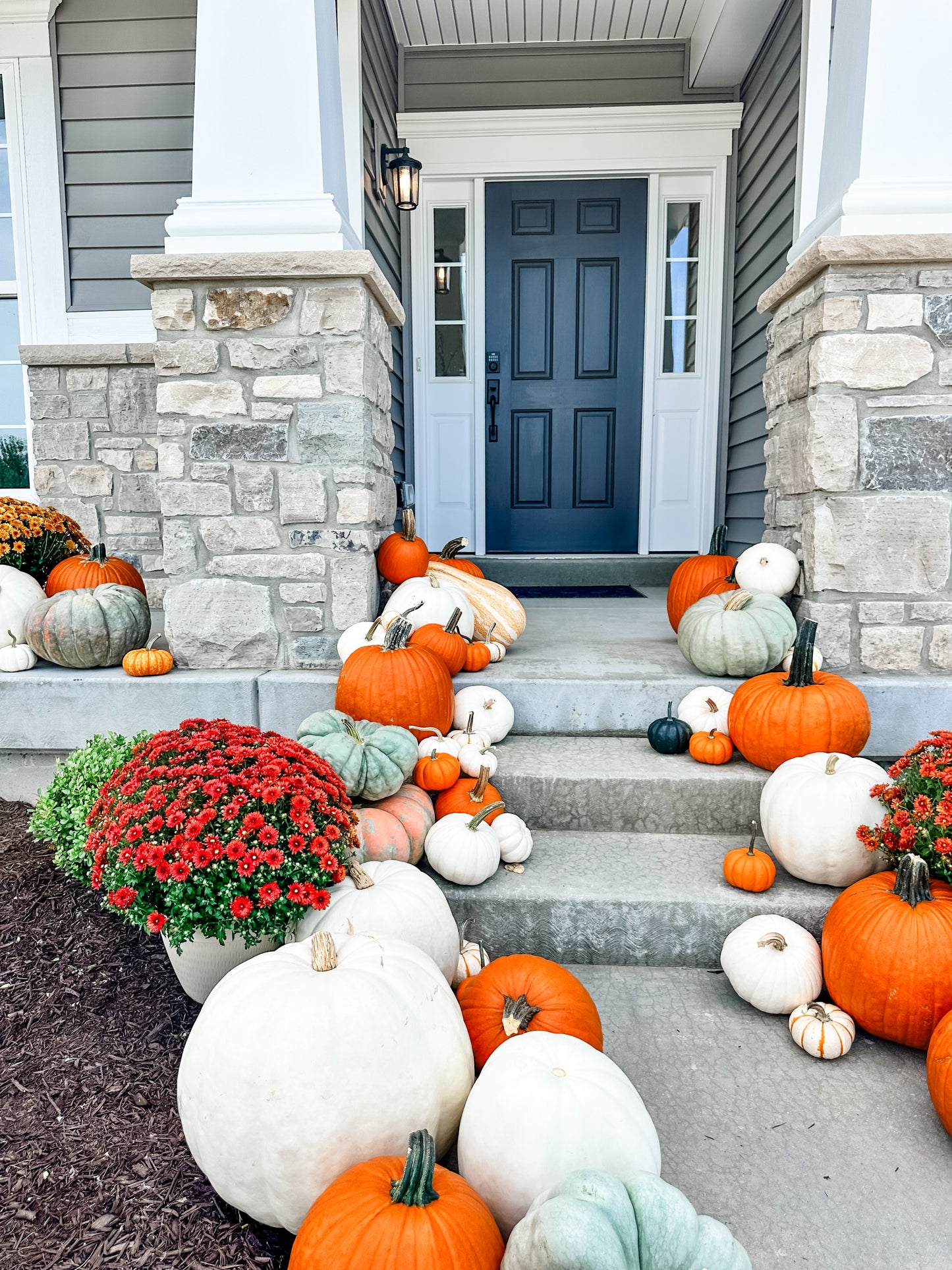 Pumpkin Package 3