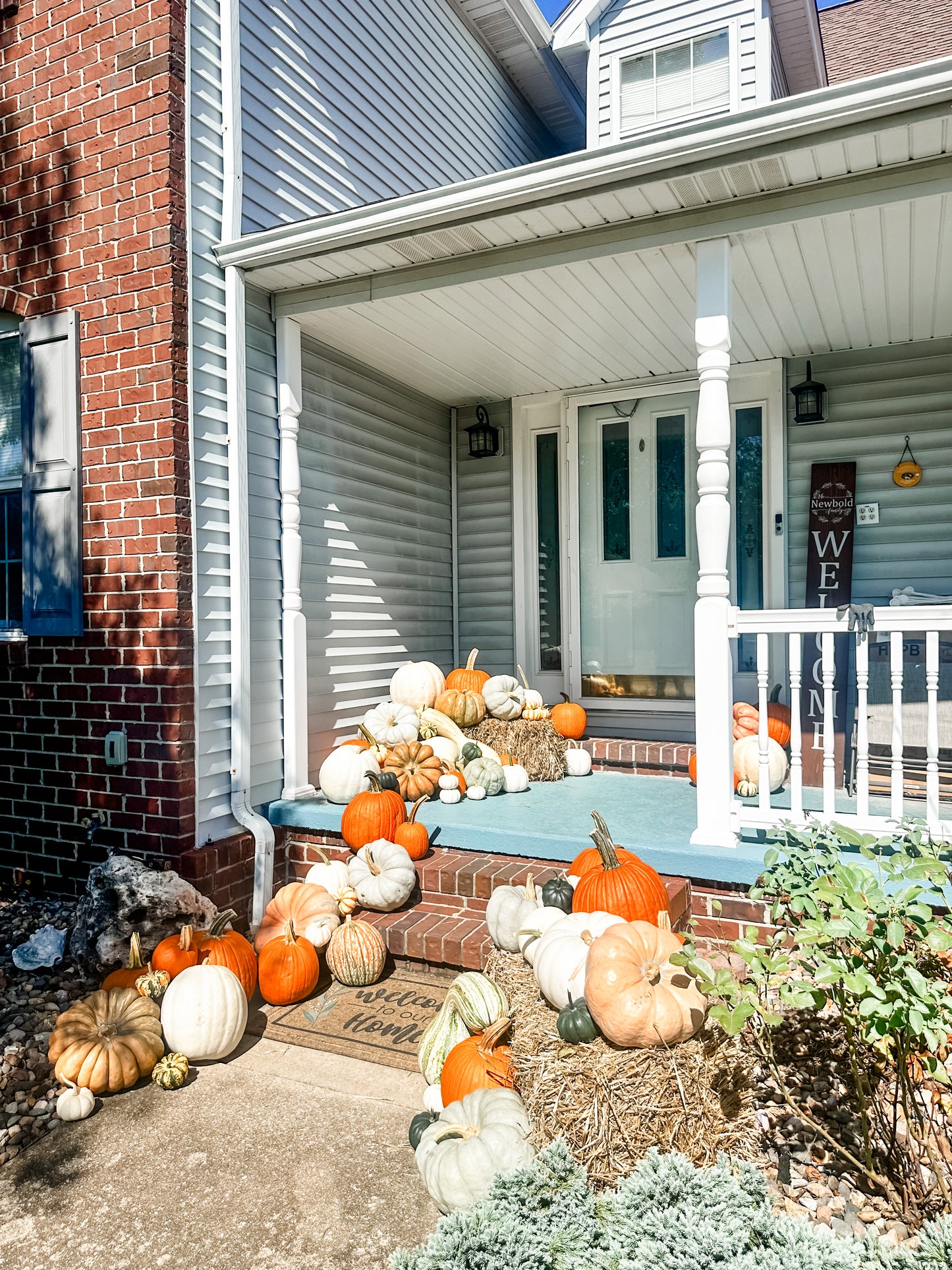Pumpkin Package 2