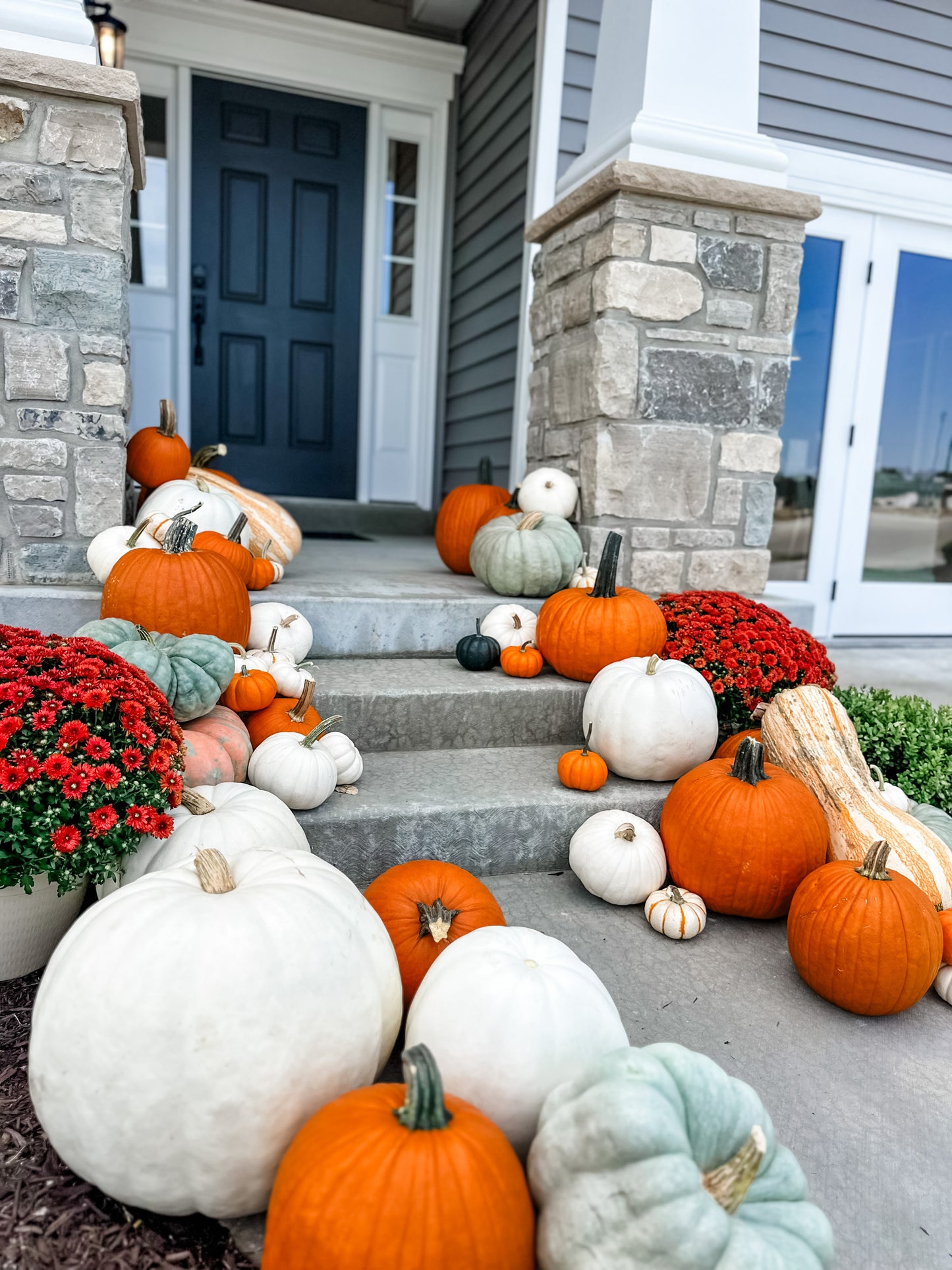 Pumpkin Package 3