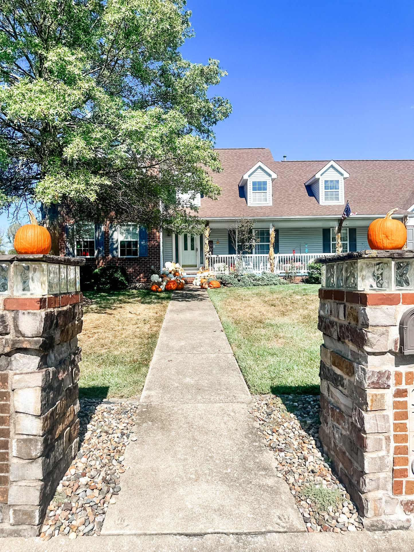 Pumpkin Package 1