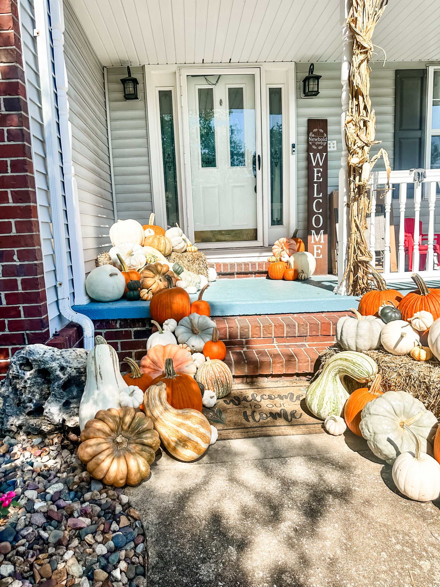 Pumpkin Package 1