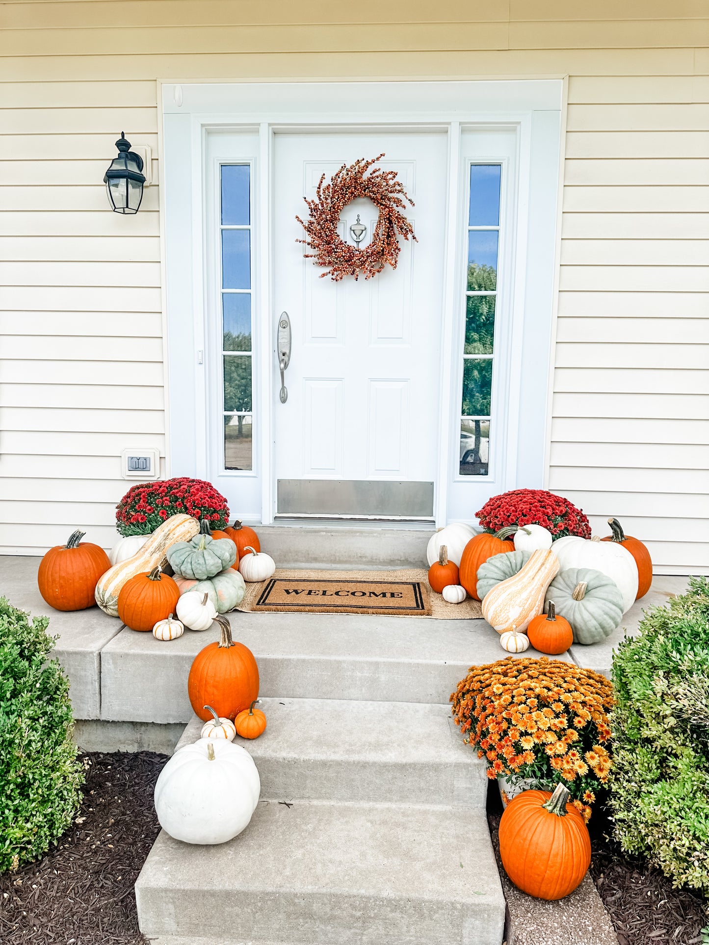 Pumpkin Package 4