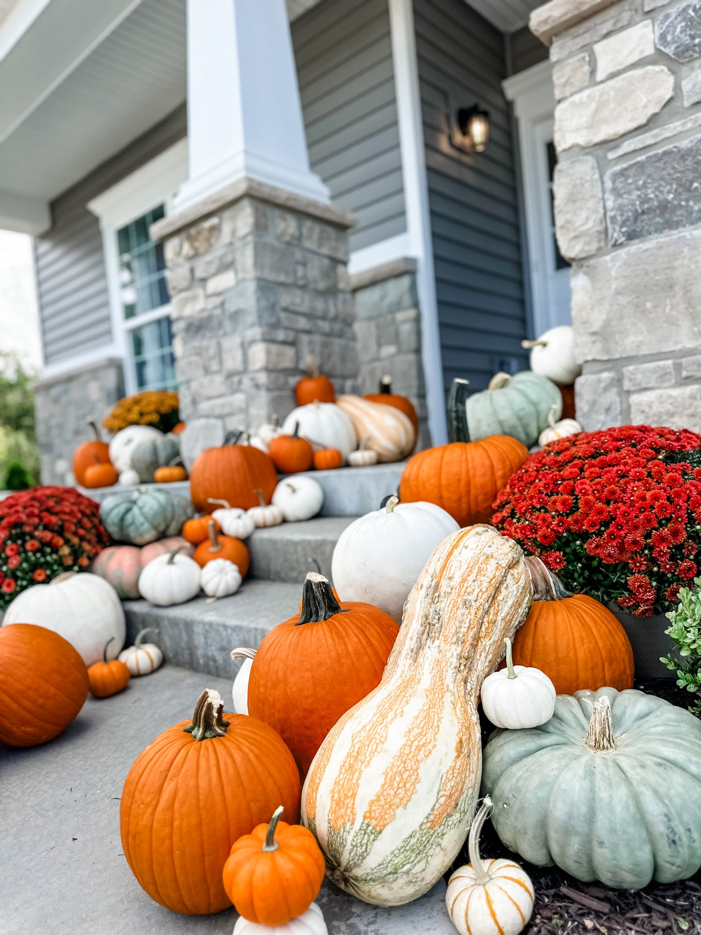 Pumpkin Package 3