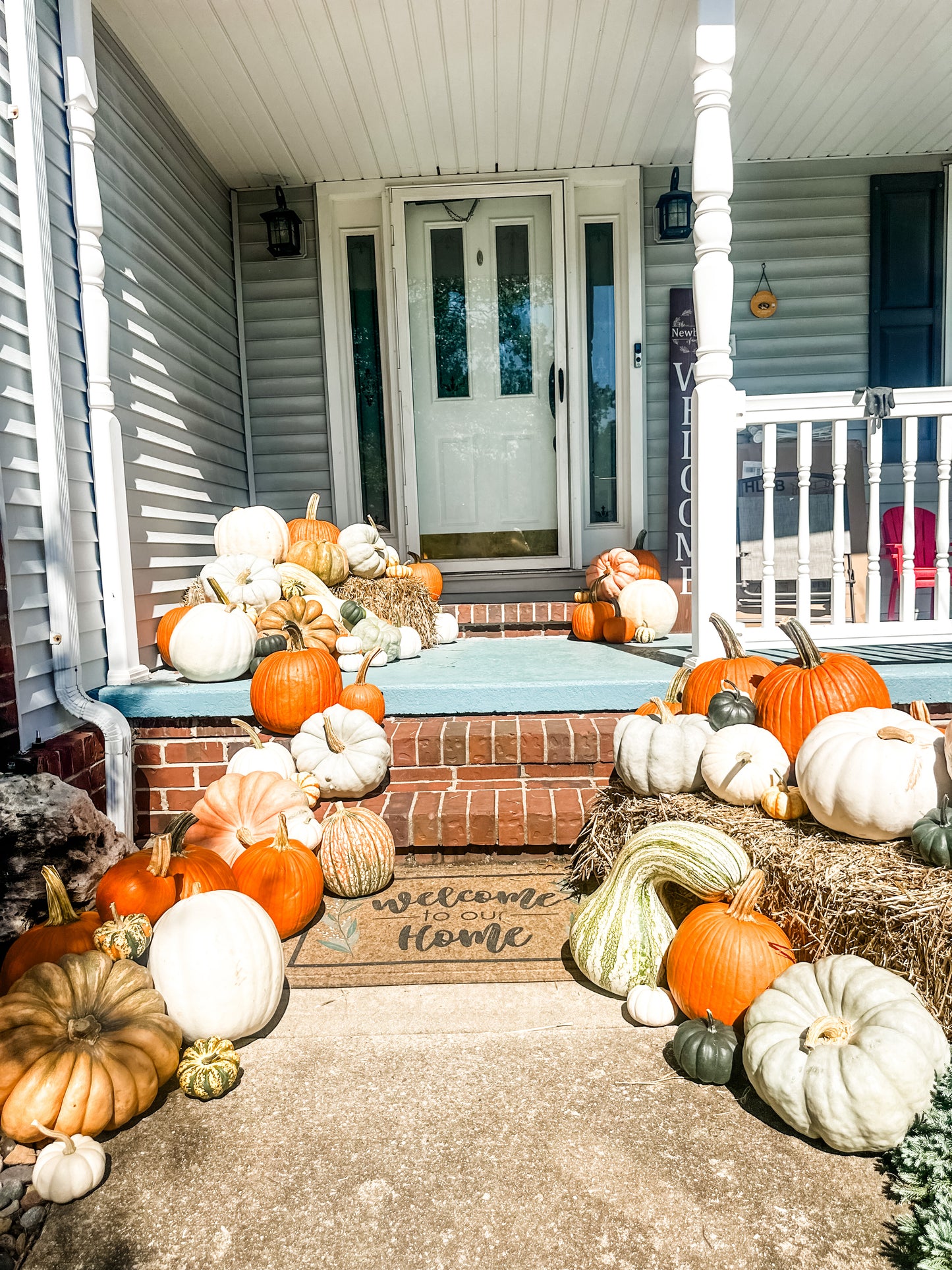 Pumpkin Package 2