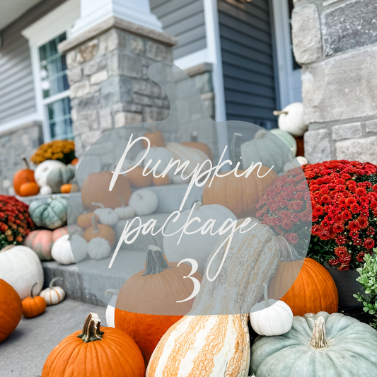 Pumpkin Package 3