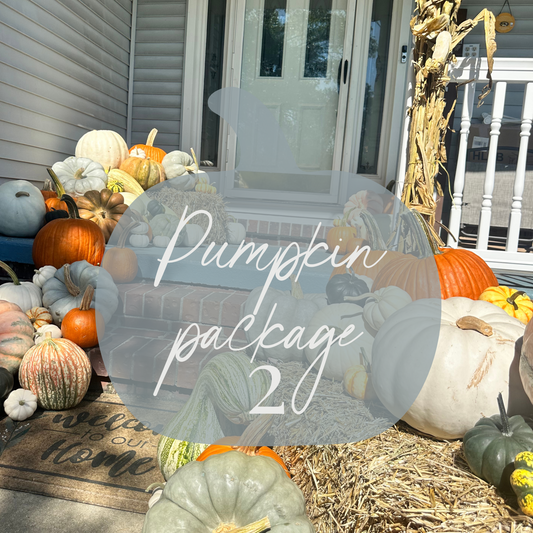 Pumpkin Package 2