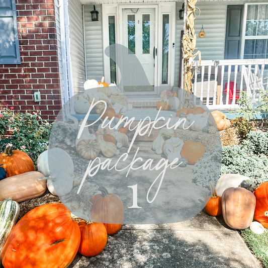Pumpkin Package 1