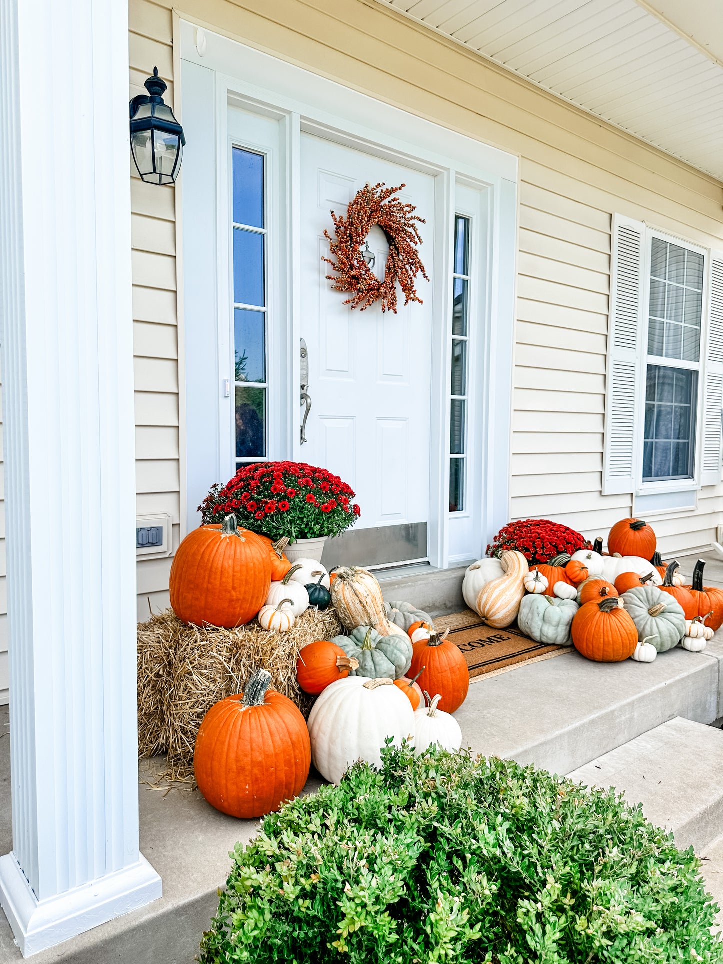 Pumpkin Package 3