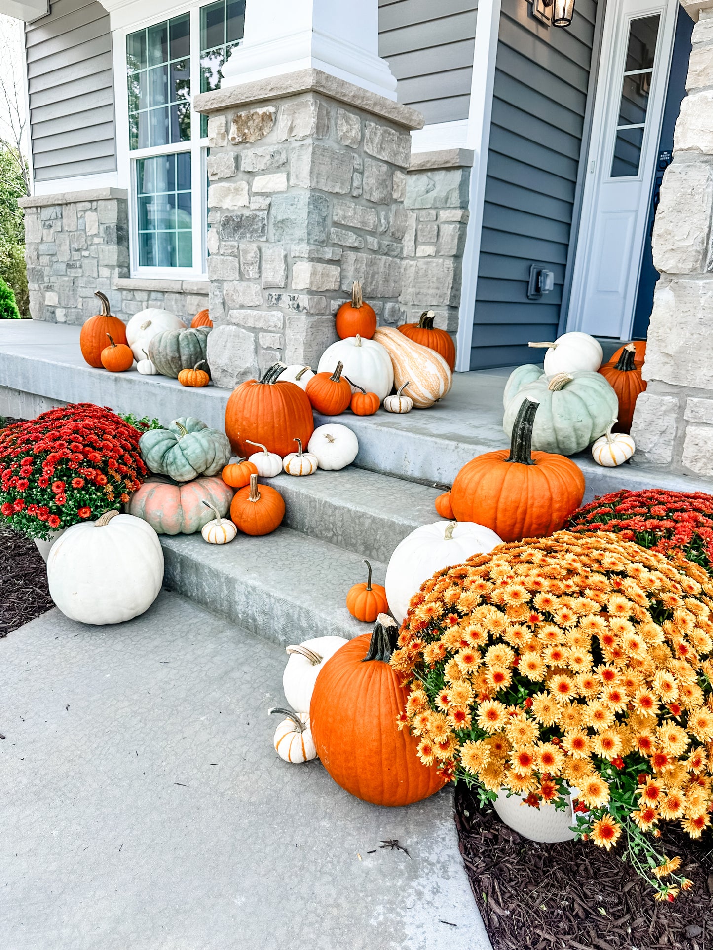 Pumpkin Package 3