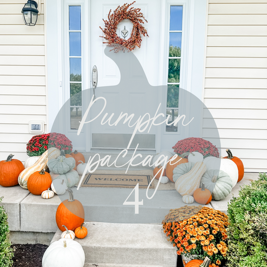 Pumpkin Package 4