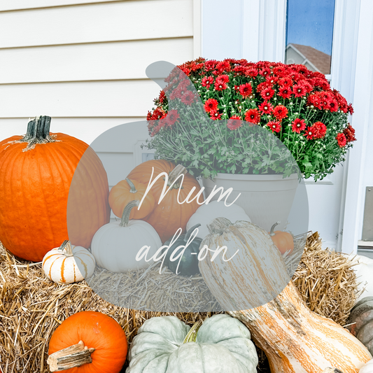 Mum Add-On